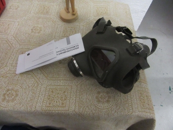 Maske (350x263)