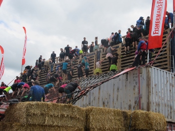 IMG_3641 (350x263) IMG_3641 (350x263)