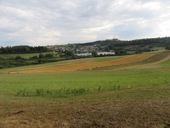 IMG_6766 (350x263) IMG_6766 (350x263)