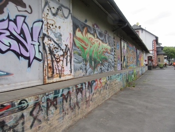 IMG_6731 (350x263) IMG_6731 (350x263)