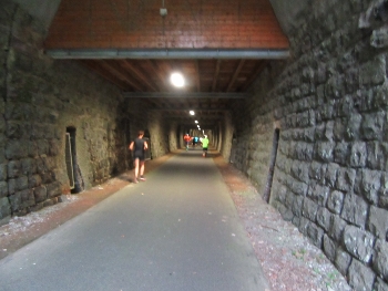 IMG_6748 (350x263) IMG_6748 (350x263)