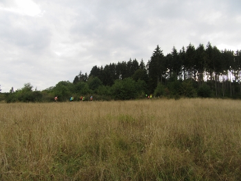 IMG_6756 (350x263) IMG_6756 (350x263)