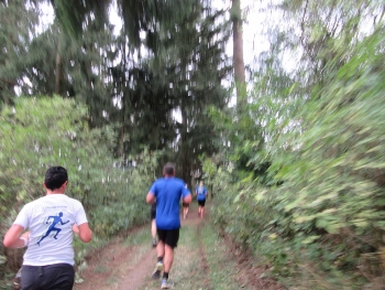 IMG_6760 (350x263) IMG_6760 (350x263)