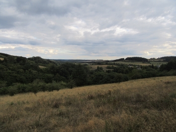 IMG_6762 (350x263) IMG_6762 (350x263)