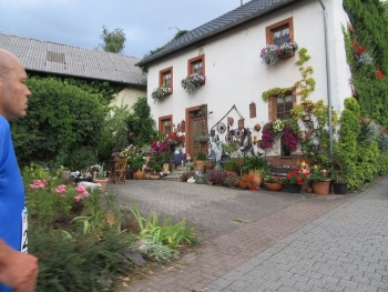 IMG_6776 (350x263) IMG_6776 (350x263)