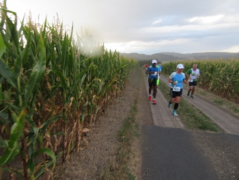 IMG_6792 (350x263) IMG_6792 (350x263)