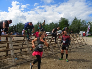 IMG_3614 (350x263) IMG_3614 (350x263)