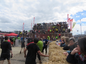 IMG_3626 (350x263) IMG_3626 (350x263)