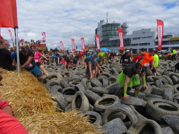 IMG_3630 (350x263) IMG_3630 (350x263)