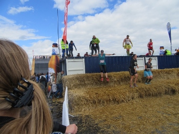 IMG_3655 (350x263) IMG_3655 (350x263)