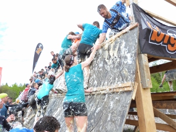 P1080386 (350x263) P1080386 (350x263)