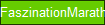 FaszinationMarathon