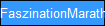 FaszinationMarathon