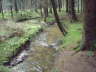 Wasser gab es �berall