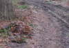 Schlamm die Erste